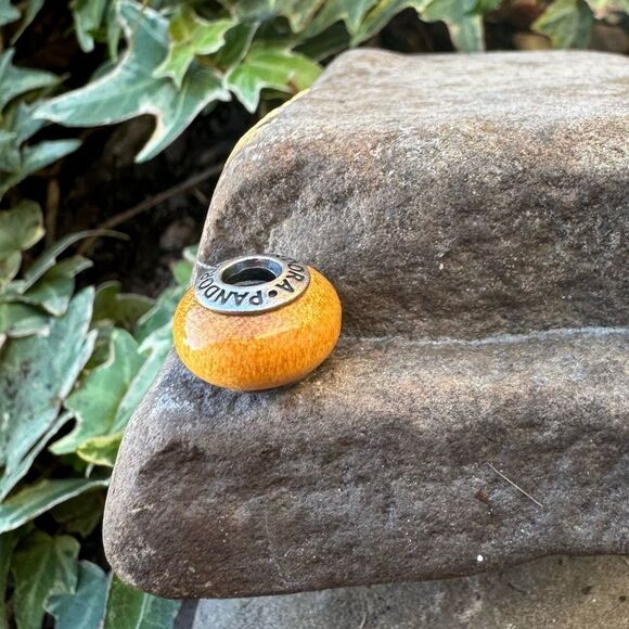 Authentic PANDORA Pau Amarelo Wood Charm With Sterling Silver Core - Picture 4 of 5